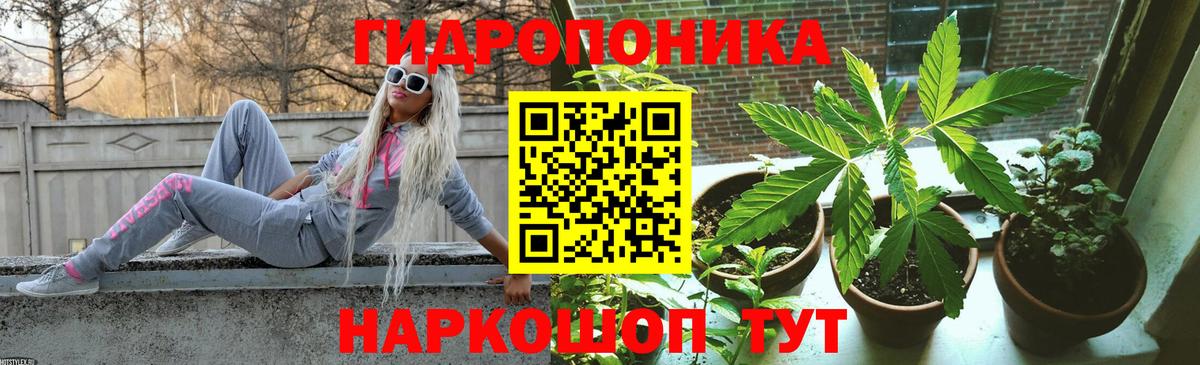 Шишки марихуана планчик Ипатово